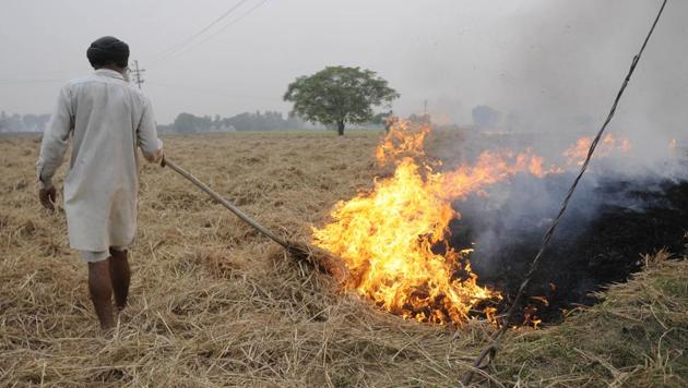 With 11 fires, first of the season, reported in Mohali in the past five days, deputy commissioner Girish Dayalan has said officers have been directed to file cases against violators (HT fIle photo) With 11 fires, first of the season, reported in Mohali in the past five days, deputy commissioner Girish Dayalan has said officers have been directed to file cases against violators (HT fIle photo)