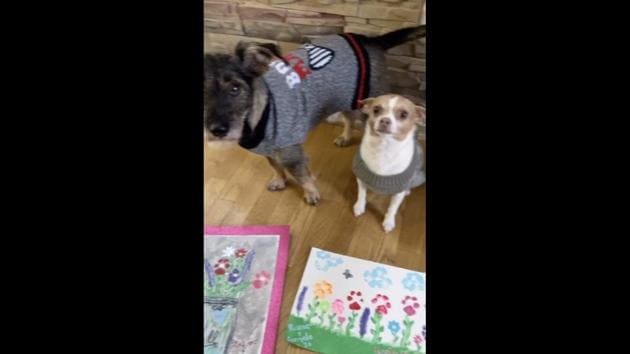 The image shows the dog standing in front of their artwork (TikTok/@lizzy.inthehizzy) The image shows the dog standing in front of their artwork (TikTok/@lizzy.inthehizzy)
