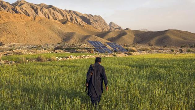 An armed farmer walks through one of his fields in Pashta Khan Mollah village, Pakistan, on Thursday, March 5, 2020. Swarms of locusts this year have all but wiped out wheat crops on farms in the mountains of Pakistan's vast and arid Balochistan province.(Bloomberg) An armed farmer walks through one of his fields in Pashta Khan Mollah village, Pakistan, on Thursday, March 5, 2020. Swarms of locusts this year have all but wiped out wheat crops on farms in the mountains of Pakistan's vast and arid Balochistan province.(Bloomberg)