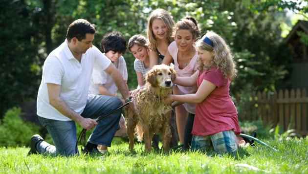 Happy International Day of Families 2020: History, significance, theme, quotes. (Unsplash) Happy International Day of Families 2020: History, significance, theme, quotes. (Unsplash)