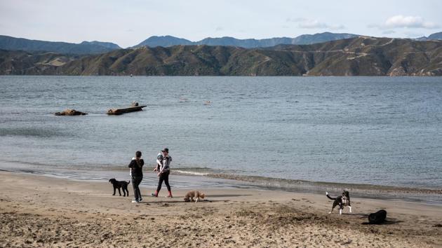 People walk their dogs along Worser Bay Beach in Wellington. The country is expected to suffer a record contraction in the June quarter and the unemployment rate is projected to rise to double digits. (Birgit Krippner / Bloomberg) People walk their dogs along Worser Bay Beach in Wellington. The country is expected to suffer a record contraction in the June quarter and the unemployment rate is projected to rise to double digits. (Birgit Krippner / Bloomberg)