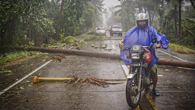 A motorist rides on a highway littered with fallen coconut trees in Can-avid town, Eastern Samar province. The lockdown in Luzon is to be eased this weekend, except in metropolitan Manila and two other high-risk areas. The rest of the country will be placed in less restrictive quarantine. The Philippines has reported more than 11,600 coronavirus infections, including 772 deaths, among the highest in Southeast Asia, reported AP. (Alren Beronio / AFP)