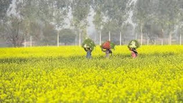 HT File HT File