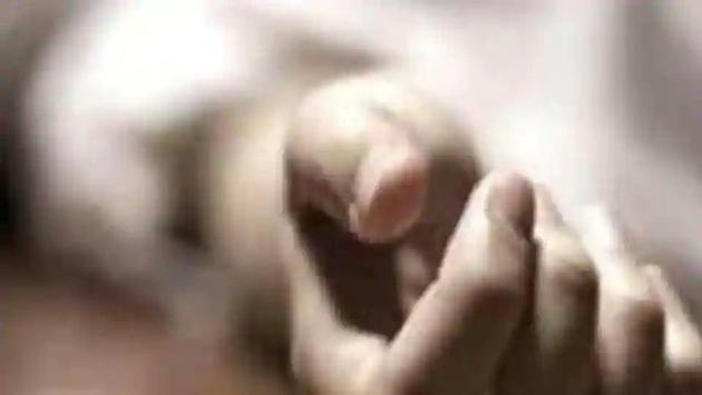 The man, identified as Tejinder Singh of Shekh Kabir village, died on the spot.(Representative Image)