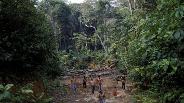 A deforested area inside the Amazon rainforest near Humaita, Amazonas State, Brazil.(Reuters File)