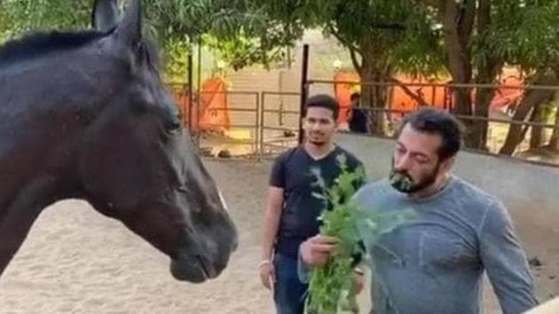 Actor Salman Khan has been stuck at his Panvel farmhouse for almost two months now. Actor Salman Khan has been stuck at his Panvel farmhouse for almost two months now.