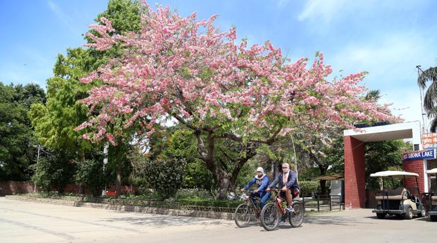 Two men pedalling back home after morning walk at Sukhna Lake in Chandigarh on Sunday. Residents are hoping for more relaxations under lockdown 4.0.(Sanjeev Sharma/HT)