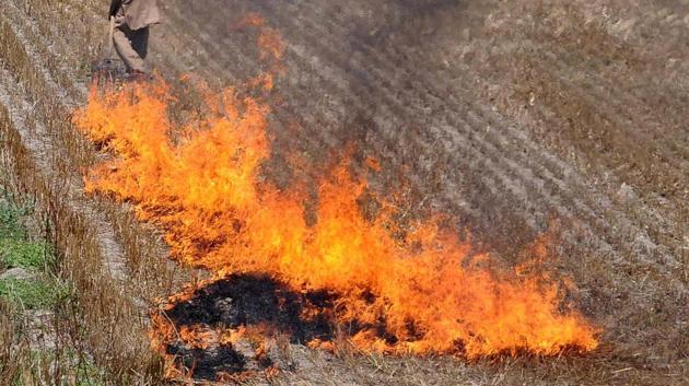 In 45 different cases of stubble burning in Ludhiana, a fine of Rs 1.55 lakh has been imposed on the farmers who have burnt the wheat straw. (HT File Photo) In 45 different cases of stubble burning in Ludhiana, a fine of Rs 1.55 lakh has been imposed on the farmers who have burnt the wheat straw. (HT File Photo)