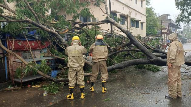 Firefighters clear road blockage after a tree uprooted due to heavy winds and rain ahead of cyclone Amphan, near R&B office in Bhadrak on May 20. (PTI) Firefighters clear road blockage after a tree uprooted due to heavy winds and rain ahead of cyclone Amphan, near R&B office in Bhadrak on May 20. (PTI)