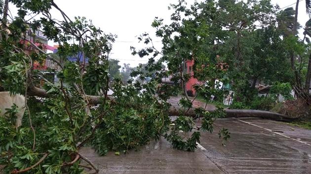 Trees lie uprooted on a highway from heavy winds ahead of Cyclone Amphan landfall, at Chandbali on the Bay of Bengal coast in Orissa on May 20.(AP)