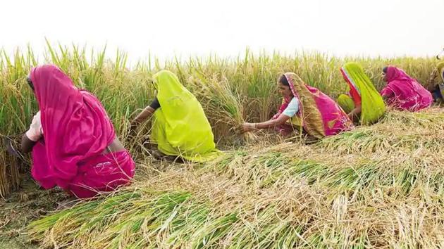 Madhya Pradesh agriculture minister Kamal Patel said agriculture sector has generated jobs and saved us from starvation. (HT file photo)