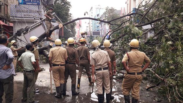 Fire brigade personnel removing the tree which got uprooted during the landfall of cyclone Amphan, in Kolkata on May 21, 2020.(ANI)