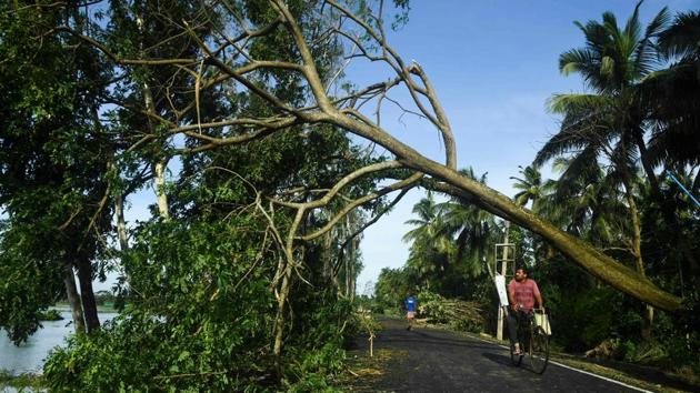 A man rides his bicycle under a tree uprooted due to Cyclone Amphan’s landfall in Midnapore, West Bengal, on May 21. West Bengal Chief Minister Mamata Banerjee said on Wednesday night that the damage was difficult to assess immediately, pointing out that entire islands had been cut off from the mainland and many areas were left without electricity or phone connectivity. (Dibyangshu Sarkar / AFP)