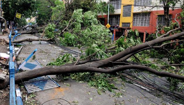 Uprooted trees lying on a street due to Super Cyclone Amphan, in Kolkata, Friday, May 22, 2020. (PTI) Uprooted trees lying on a street due to Super Cyclone Amphan, in Kolkata, Friday, May 22, 2020. (PTI)