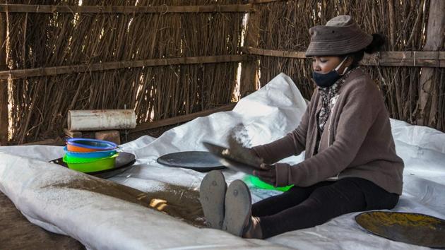 Rafaramalala Rovaniaina, 23, a daily employee of the company BIONEXX, sifts to collect seeds from dried artemisia annua plants. (Rijasolo / AFP)