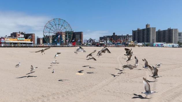 Seagulls land on a nearly empty Coney Island beach. For the hard-hit tourism and hospitality industry, hope rests in Memorial Day as an indicator of something resembling recovery. (Jeenah Moon / Bloomberg)