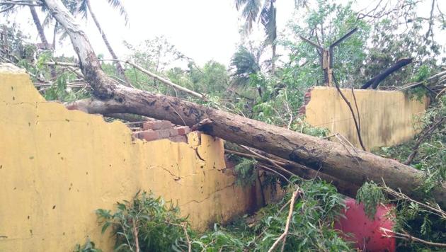 Many trees were uprooted in the gale blocking roads, puncturing water supply pipes and bringing down electricity and telephone lines, IIM Calcutta director Anju Seth said.(HT Photo)