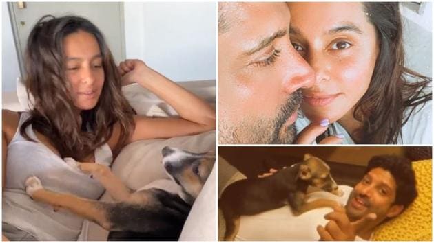 Shibani Dandekar and Farhan Akhtar are crazy about their new puppy.