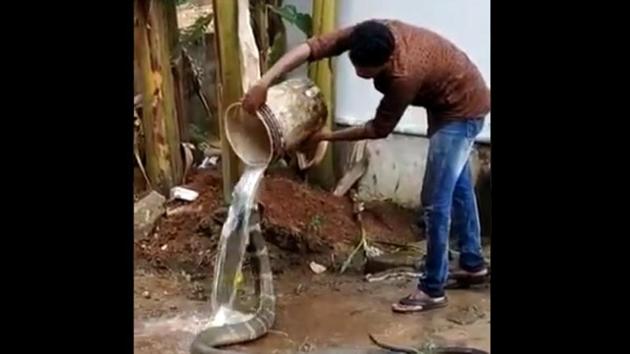 The huge snake is seen swaying its head rhythmically as the water is poured on it.(Twitter/@susantananda3)