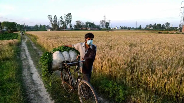 In his police complaint, The farmer alleged that as per his community’s diktat, he and his family can’t fetch water from the village well and they can’t take part in any auspicious programme in any other community member’s family. (PTI File / Photo used for representational purpose only) In his police complaint, The farmer alleged that as per his community’s diktat, he and his family can’t fetch water from the village well and they can’t take part in any auspicious programme in any other community member’s family. (PTI File / Photo used for representational purpose only)