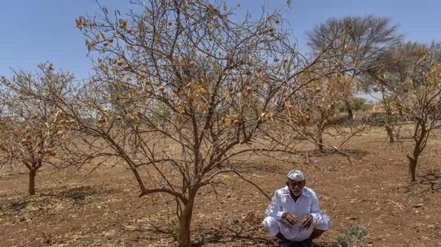 On Monday, Akola recorded its highest day temperature for the season at 47.4 degrees Celsius. (HT Photo) On Monday, Akola recorded its highest day temperature for the season at 47.4 degrees Celsius. (HT Photo)