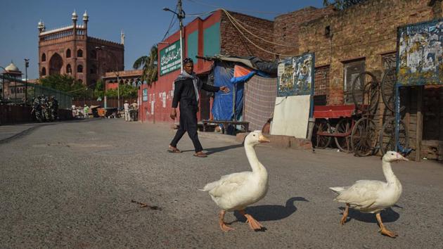 A couple of ducks along a near empty road in the vicinity of Jama Masjid on Eid-ul-Fitr in New Delhi on May 25. Celebratory visits to friends’ and relatives’ homes and the throng of jubilant crowds was missing from areas synonymous with Eid festivities. (Sanchit Khanna / HT Photo) A couple of ducks along a near empty road in the vicinity of Jama Masjid on Eid-ul-Fitr in New Delhi on May 25. Celebratory visits to friends’ and relatives’ homes and the throng of jubilant crowds was missing from areas synonymous with Eid festivities. (Sanchit Khanna / HT Photo)