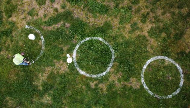 A municipality worker paints circles as guidelines for social distancing at Dalyan Park during a 4-day curfew amid the spread of the coronavirus disease (Covid-19), in Istanbul, Turkey May 25, 2020. (Reuters photo)