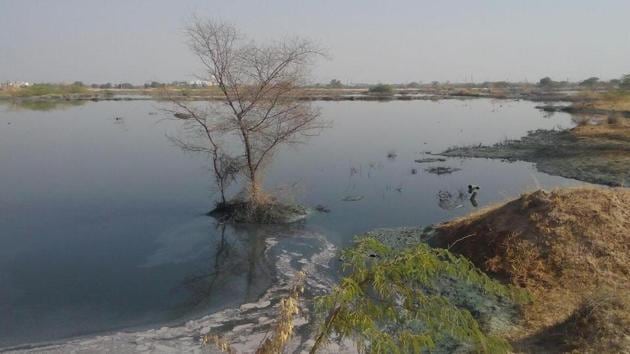 The Jojari River has become a dumping ground for all kinds of waste water.(HT Photo) The Jojari River has become a dumping ground for all kinds of waste water.(HT Photo)