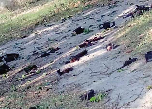 Carcasses of the bats strewn on the ground in Belghat area of Gorakhpur.(HT Photo)