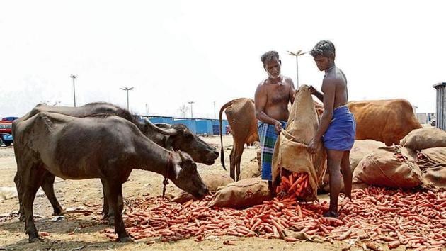 Labourers dump vegetables that couldn’t be sold for want of buyers at Thirumazhisai vegetables market in Chennai on Monday. (ANI) Labourers dump vegetables that couldn’t be sold for want of buyers at Thirumazhisai vegetables market in Chennai on Monday. (ANI)