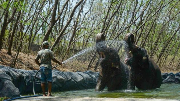 Photos: Lockdown spells quiet days at Pune's Katraj Zoo | Hindustan Times