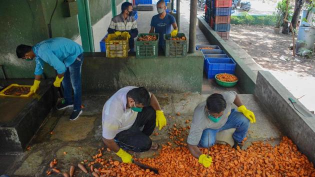Carrots being washed and broken down before being fed to animals at the zoo. The zoo currently has about 100 staffers who keep the zoo guarded and take care of the 448 animals the zoo hosts. The lockdown has also put on hold the zoo’s animal exchange programme with the Hyderabad zoo. (Milind Saurkar / HT Photo)