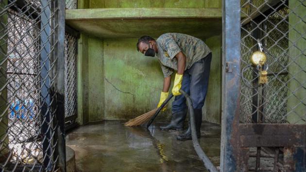 An animal cage is given a wash at the Katraj zoo. Staff at the zoo are included in the list of essential services and have been keeping the facility in shape during lockdown. They have been provided with gumboots, gloves and masks use while at work. Only staff living in red zone areas have been kept away. (Milind Saurkar / HT Photo)
