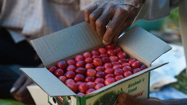 Farmers have also demanded free movement of fruit trucks until Amritsar. The railways appears to have stepped in to ease farmers’ burden, agreeing to transport crop from June 1, after requests to help send Kashmir’s cherries from Amritsar to markets in Delhi and Mumbai lest this year’s crop spoil. (Waseem Andrabi / HT Photo)