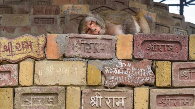 Inscribed bricks at Ram Janmabhoomi Nyas Karyashala in Ayodhya.(PTI)