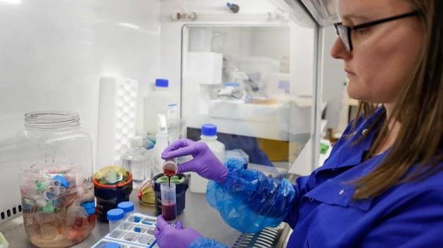 Blood samples from coronavirus patients are prepared for analysis as part of the TACTIC-R trial, in the Blood Processing Lab in the Cambridge Institute of Therapeutic Immunology and Infectious Disease, in Cambridge, UK.(Bloomberg) Blood samples from coronavirus patients are prepared for analysis as part of the TACTIC-R trial, in the Blood Processing Lab in the Cambridge Institute of Therapeutic Immunology and Infectious Disease, in Cambridge, UK.(Bloomberg)