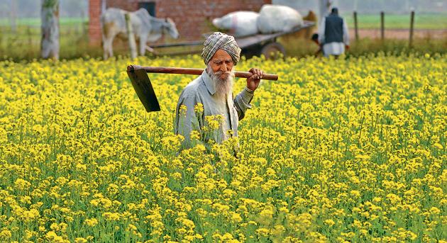 The Punjab cabinet had on Wednesday agreed in-principle to switch from free electricity to cash transfer of subsidy to farmers’ bank accounts from the next fiscal to become eligible for additional borrowing under reforms-linked enhancement announced by the central government.(HT PHOTO) The Punjab cabinet had on Wednesday agreed in-principle to switch from free electricity to cash transfer of subsidy to farmers’ bank accounts from the next fiscal to become eligible for additional borrowing under reforms-linked enhancement announced by the central government.(HT PHOTO)