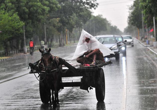 A horse-cart and its driver make their way through the rain at Sukhna Lake Road in Chandigarh on Friday.(Ravi Kumar/HT) A horse-cart and its driver make their way through the rain at Sukhna Lake Road in Chandigarh on Friday.(Ravi Kumar/HT)