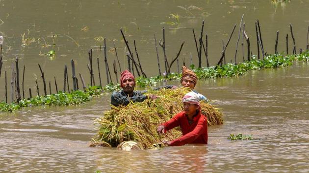 Morigaon: Farmers carrying paddy on a makeshift banana raft wade through flood water at a village in Morigaon district of Assam (PTI) Morigaon: Farmers carrying paddy on a makeshift banana raft wade through flood water at a village in Morigaon district of Assam (PTI)