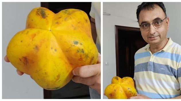 Kamal Jit Singh, found a star-shaped papaya and it helped him revive lost friendships!