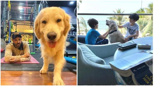 Bollywood stars are in love with their doggos and so are their fans. Hrithik Roshan often treats his followers to the pictures of his adorable dog Zane.