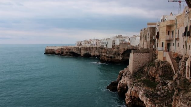 Authorities stressed it was too soon to give the lockdown sole credit for the change, saying that shifting sea currents and limited rainfall in April and May also could have been responsible for reduced runoff of livestock and fertilizer waste.(Unsplash)