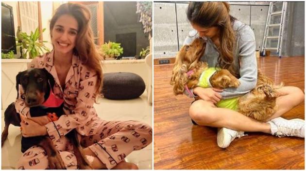 Disha Patani with her dogs. She treats fans to their pictures regularly.