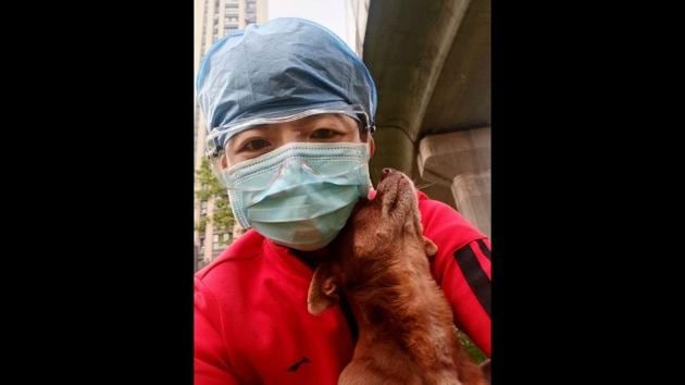 The image shows Chinese nurse Zhang Dan with Doudou, a street dog.(AP) The image shows Chinese nurse Zhang Dan with Doudou, a street dog.(AP)