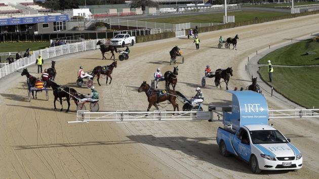 Preparations underway to start race four at the Addington Raceway. Harness racing is the most popular form of racing on New Zealand’s South Island. (Mark Baker / AP)