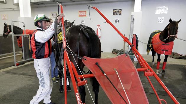Blair Orange takes his buggy off his horse Terror the Christian, after winning his 2,000th career race at the Addington Raceway. The pandemic led to substantial job losses in the racing industry and betting income had plunged while race meetings in New Zealand were suspended. (Mark Baker / AP)
