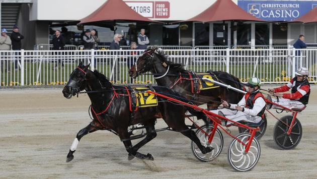 Blair Orange steers Terror the Christian home to win his 2,000th career race at the Addington Raceway on May 28. The New Zealand government has recently allocated $45 million to the racing industry to help it meet its financial challenges incurred during the coronavirus lockdown. (Mark Baker / AP)