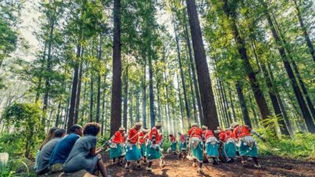 Tourists witnessing a traditional rain dance ceremony in a forest in Limpopo. 
