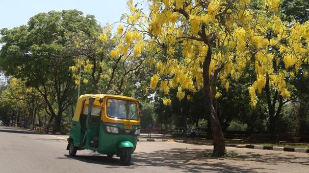 Auto-rickshaws have been allowed to ply after more than one-and-a-half months on the roads of Ambala City and Ambala Cantonment. (HT FILE) Auto-rickshaws have been allowed to ply after more than one-and-a-half months on the roads of Ambala City and Ambala Cantonment. (HT FILE)