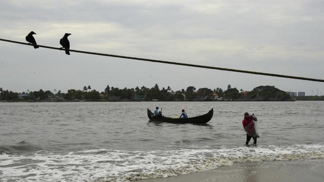 A fisherman brings in his catch from the Arabian Sea during the Coronavirus pandemic in Kochi, Kerala state.(AP)